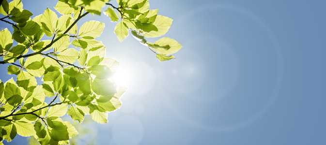 Environmental Monitoring