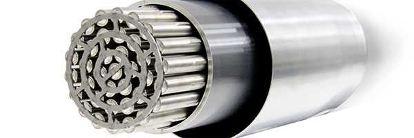 CANDU® Fuel