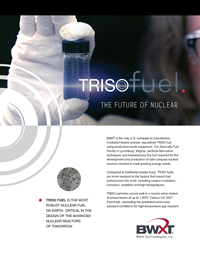 TRISO Fuel